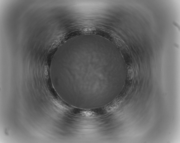 X0000093490654200710261118