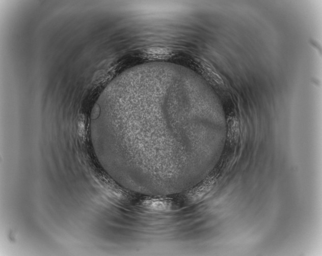 X0000093490655200710261118