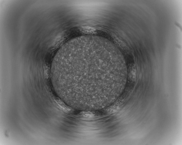 X0000093490658200710261118