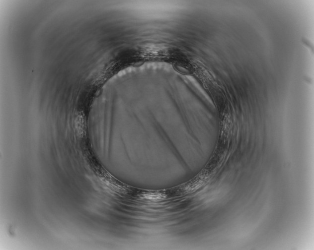 X0000093490659200710261118