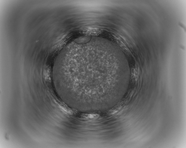 X0000093490663200710261118