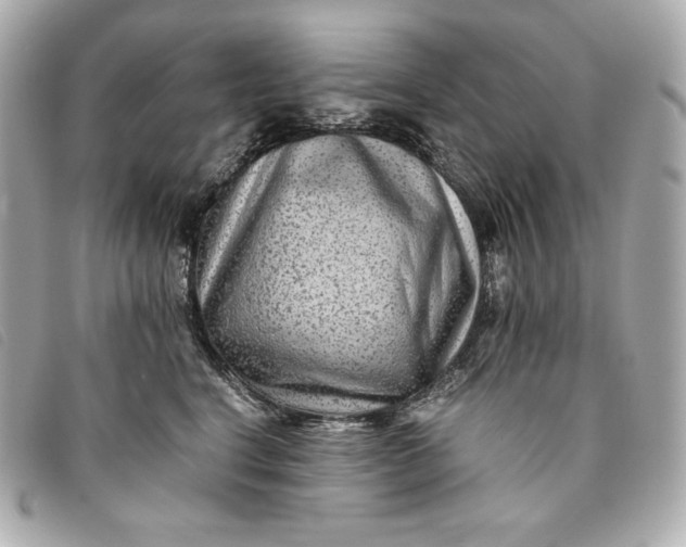 X0000093490664200710261118