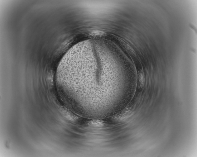 X0000093490668200710261118