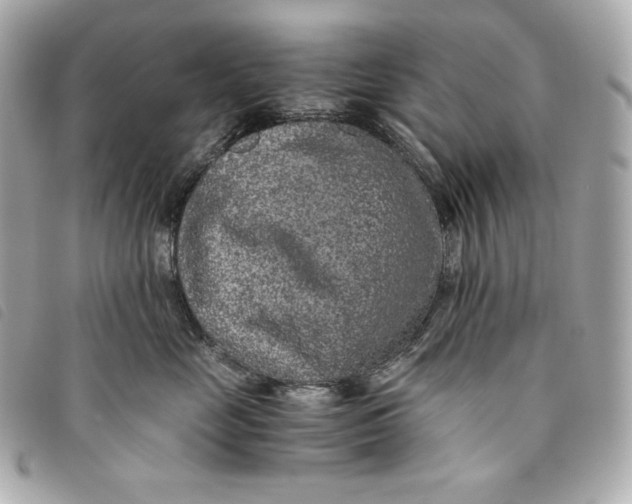 X0000093490669200710261118