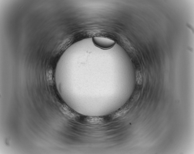 X0000093490670200710261118