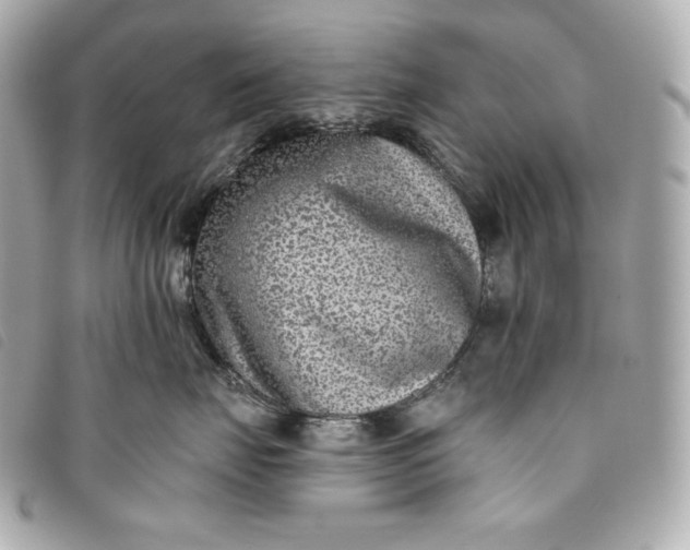 X0000093490671200710261118