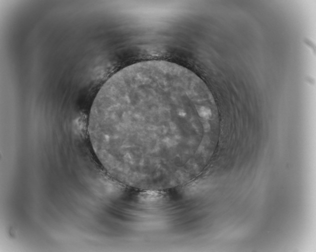 X0000093490672200710261118