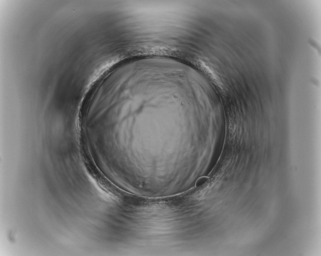 X0000093490674200710261118