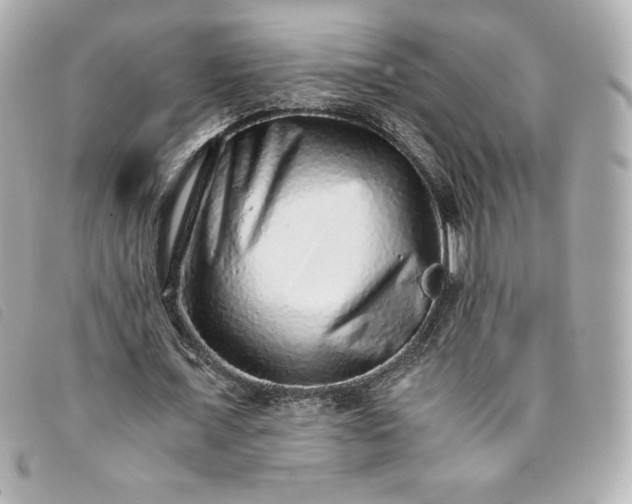 X0000093490675200710261117