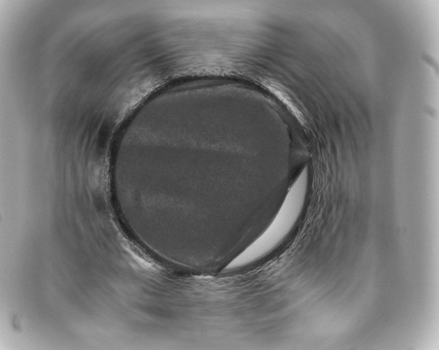 X0000093490677200710261117