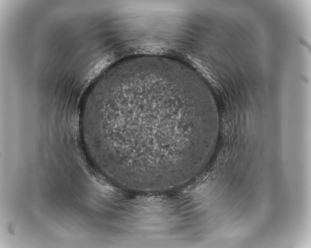 X0000093490679200710261117