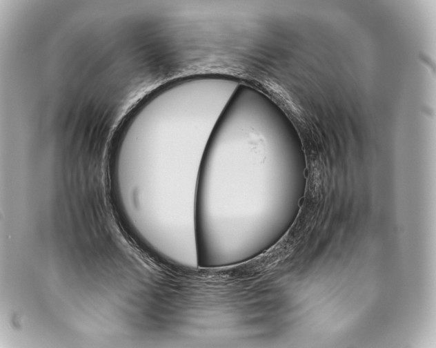 X0000093490680200710261117