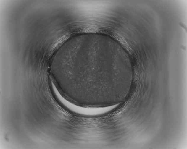 X0000093490681200710261117