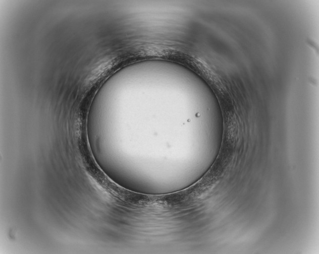 X0000093490683200710261117