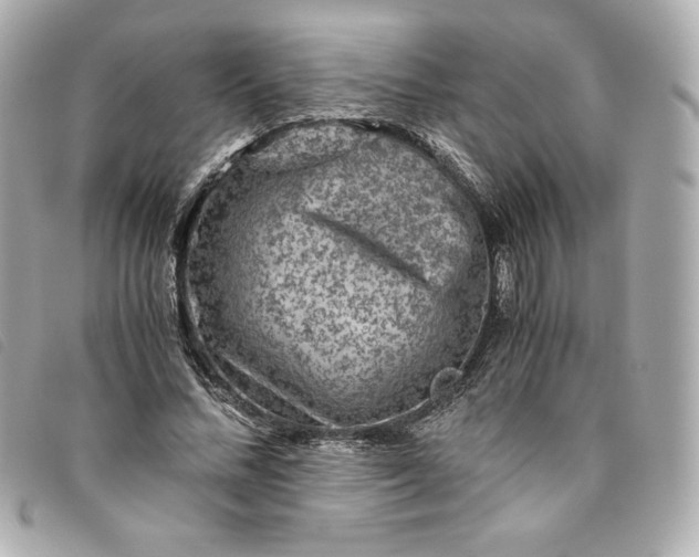 X0000093490684200710261117