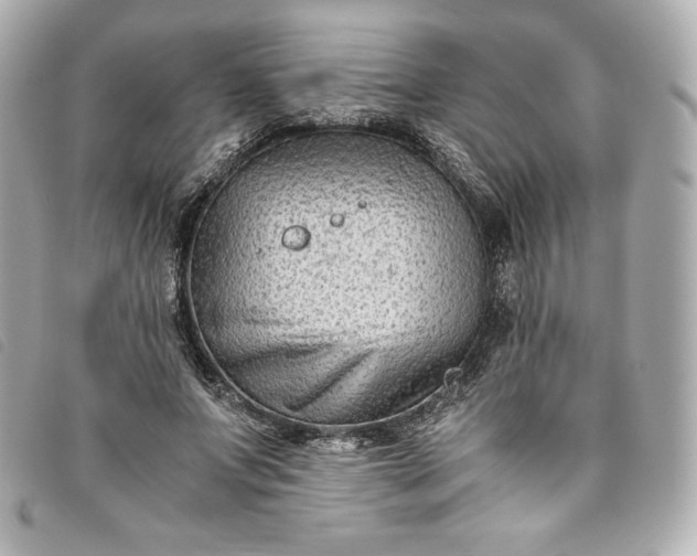 X0000093490687200710261117