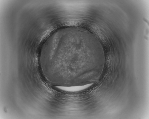 X0000093490688200710261117