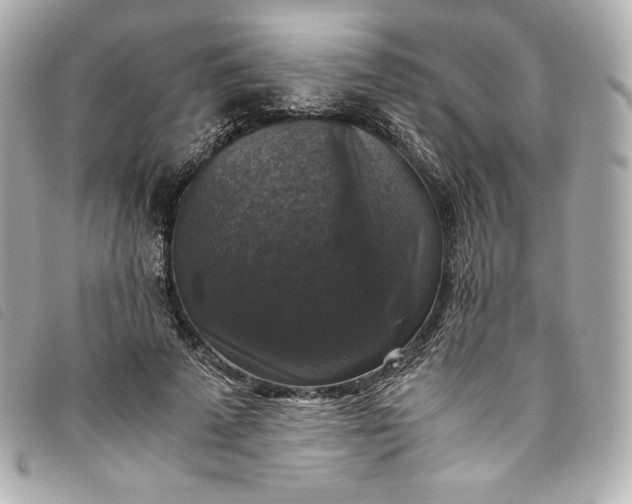 X0000093490689200710261117