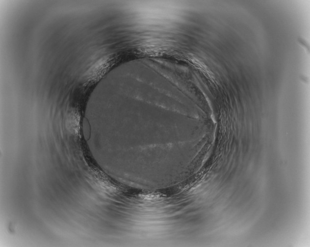 X0000093490693200710261117