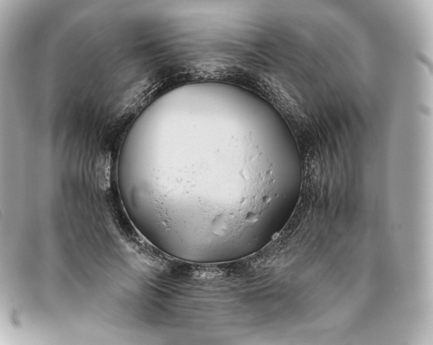 X0000093490694200710261117