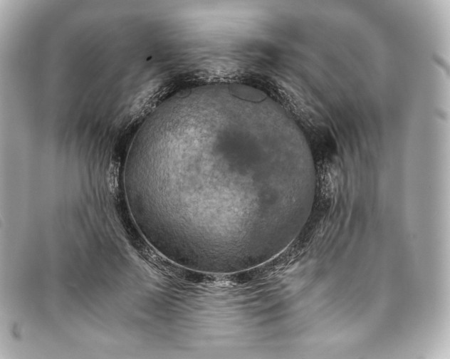 X0000093490695200710261117