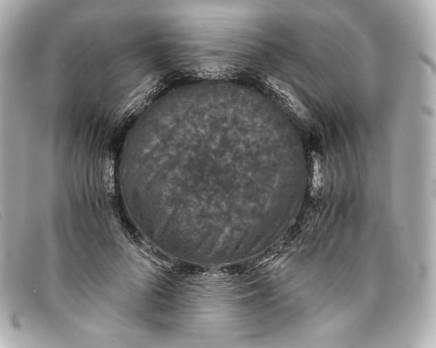 X0000093490696200710261117