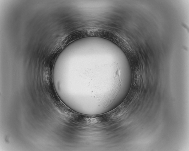 X0000093490698200710261117