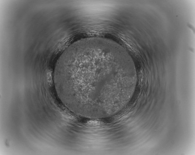 X0000093490699200710261117