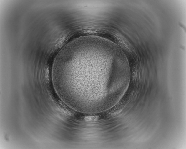 X0000093490700200710261117