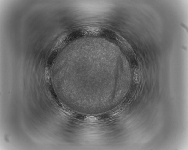 X0000093490701200710261117