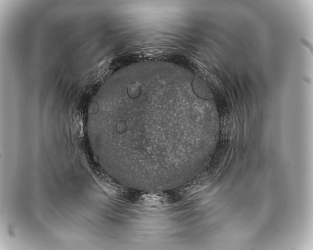 X0000093490703200710261117