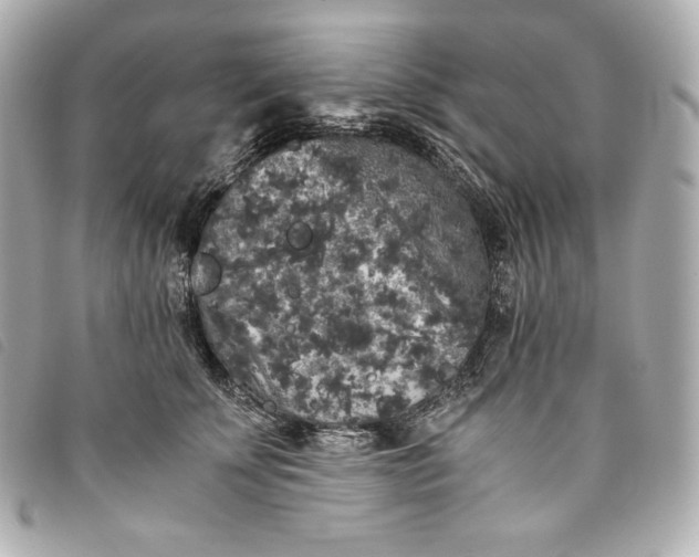 X0000093490707200710261117