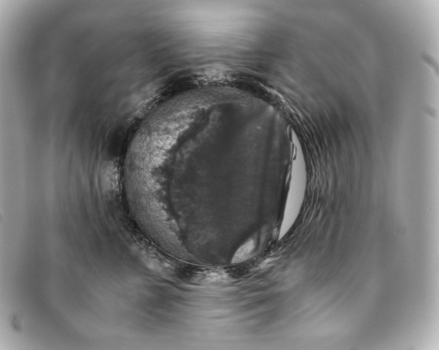 X0000093490715200710261117