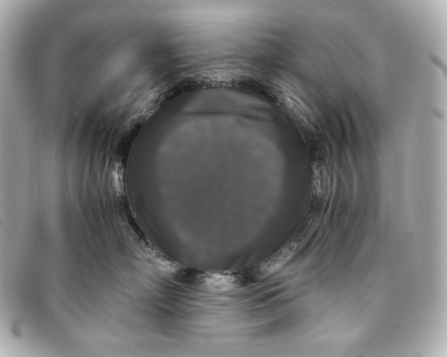 X0000093490718200710261117