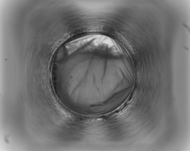 X0000093490721200710261116