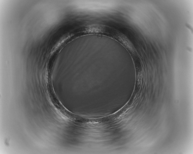 X0000093490722200710261116