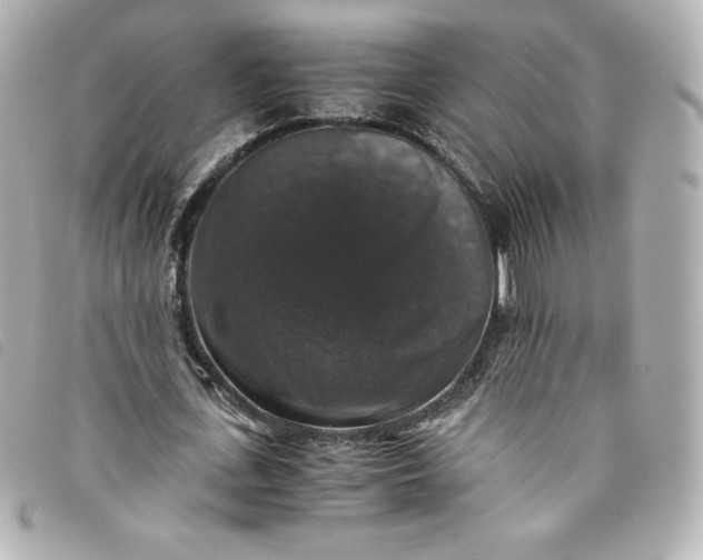 X0000093490723200710261116