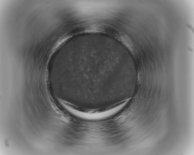 X0000093490724200710261116