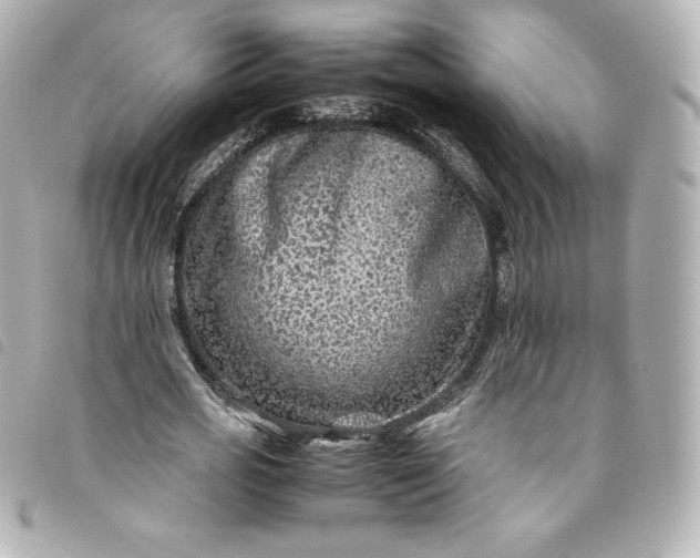 X0000093490725200710261116