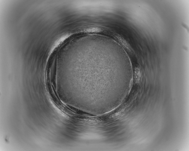 X0000093490726200710261116