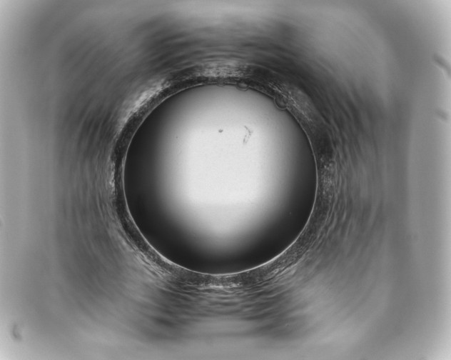 X0000093490727200710261116