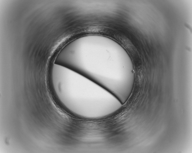 X0000093490728200710261116