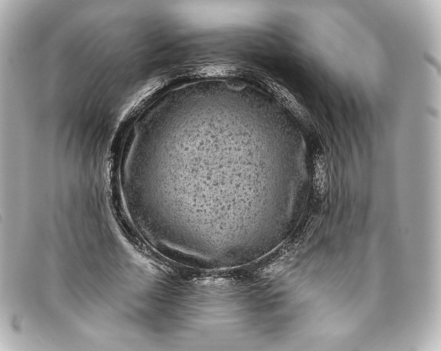 X0000093490730200710261116