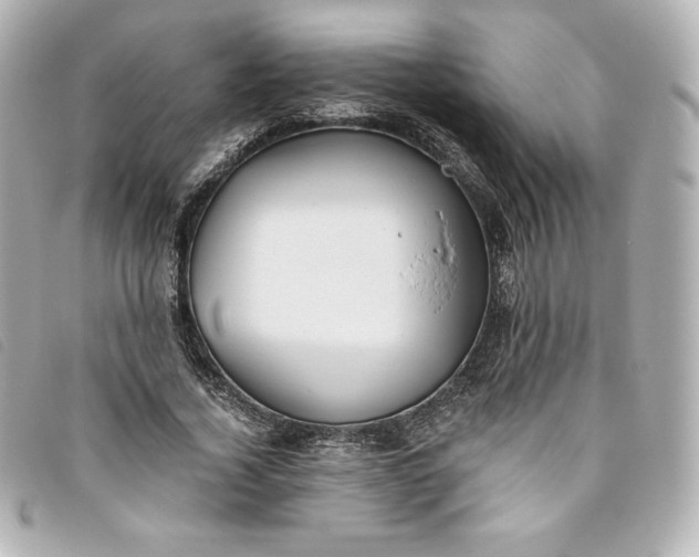 X0000093490732200710261116