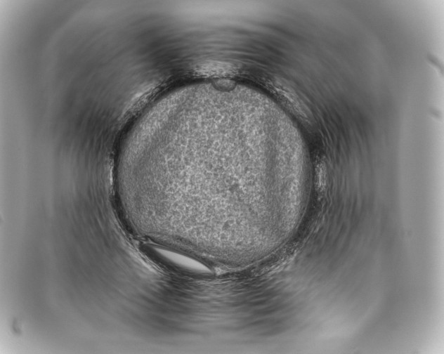 X0000093490733200710261117