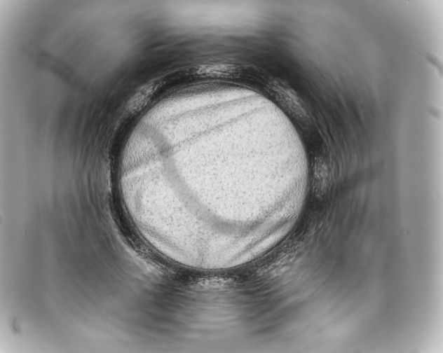 X0000093490734200710261117