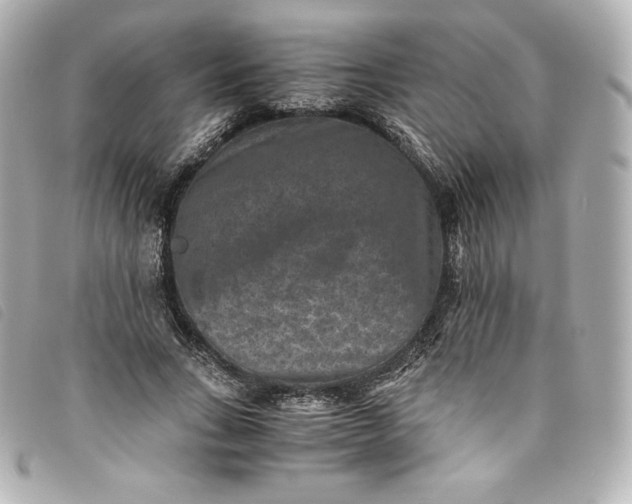 X0000093490735200710261117