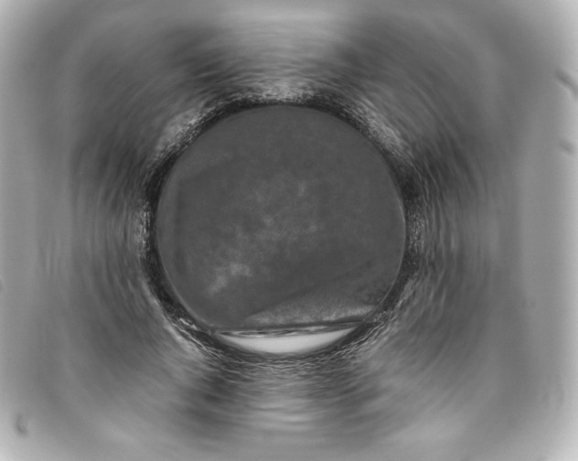 X0000093490736200710261117