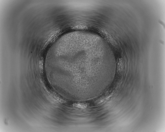 X0000093490739200710261117