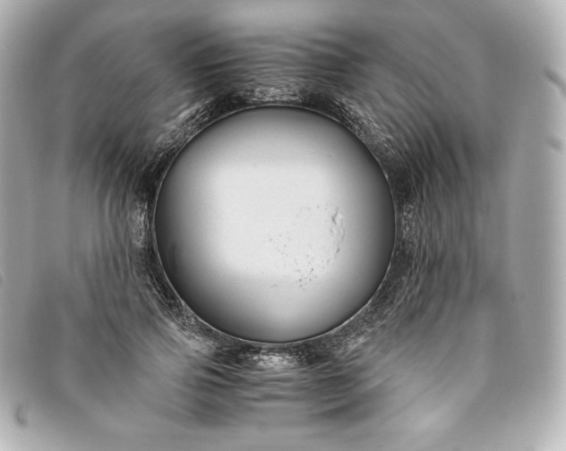 X0000093490741200710261117